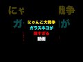 ガラスネコが強すぎる動画です。　にゃんこ大戦争