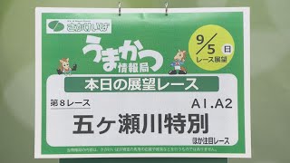 さがけいばの予想チャンネル！【うまかつ情報局 ９/５日 レース展望】五ヶ瀬川特別