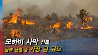 [모닝포커스]이슈 투데이-모하비 사막 산불, 올해 산불 중 가장 큰 규모의 산불  #라디오코리아 #보이는라디오 #실시간방송