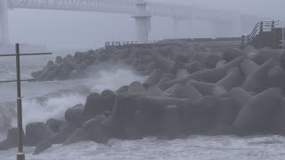 비바람 거세지는 제주…'타파' 북상에 긴장 / 연합뉴스TV (YonhapnewsTV)