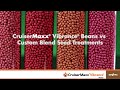 cruisermaxx vibrance beans vs. custom blend seed treatments