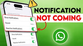 WhatsApp Notifications not coming/Showing on iPhone After iOS 17 Update? (here is the fix)