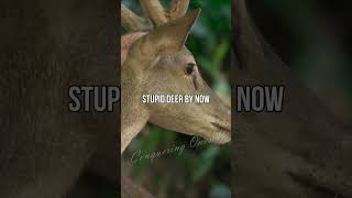 All deer are stupid.. Joe teaches | Neil deGrasse Tyson