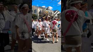 2024 荻窪八幡神社例大祭  6年ぶりの神社神與渡御  宮神輿（東京都杉並区）令和6年 #shorts