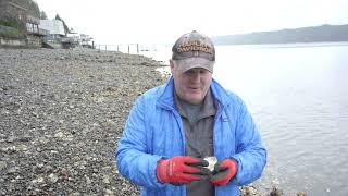 Shucking and Temporary Buydowns  #mortgage #oysters #hoodcanal #homebuyingtips