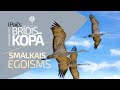 Brīdis kopā (28.10.2024) – SMALKAIS EGOISMS