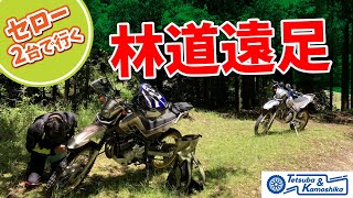 【林道遠足】セロー2台でのんびり林道遠足