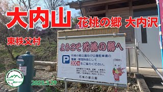 東秩父村　花桃の郷の大内山