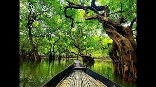 Ratargul Swamp Forest with friends (winter - Jan 2022)