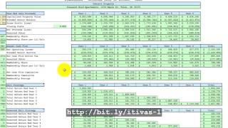 ProFormaStabilized Spreadsheet - Syndication Package Tutorial1