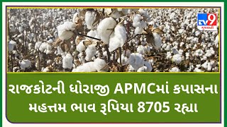 Mandi: રાજકોટની ધોરાજી APMCમાં કપાસના મહત્તમ ભાવ રૂપિયા 8705 રહ્યા |Tv9News