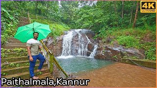 🌊❤️ வடக்கு கேரளாவில் அழகிய நீர் வீழ்ச்சி Paithalmala | Kannur | Kasaragod| Kerala Waterfall|Treking