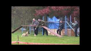 Daniel Kaminski & Butsch, Czech Mondioring Championship of Belgian Shepherds 2012.wmv