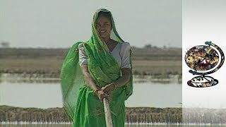 The Exploited Salt Workers Of India's Great Rann of Kutch (2000)