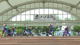 MY matsuri　竜KOI舞祭2017　Chiku Saintさん＜茨城県筑西市＞ / 舞 - REVOLUTION-