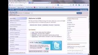 Bioinformatics Practical 1 database searching and retrival of sequence