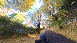 国営昭和記念公園　サイクリングコースを走りました。