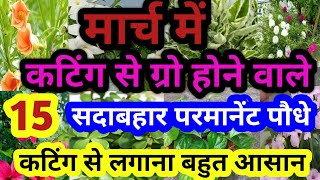 मार्च में कटिंग से लगने वाले पौधें/Grow permanent plants cutting in February#gardening#Bloggerseema