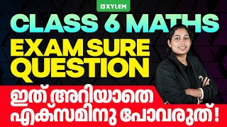 Class 6 Maths | Christmas Exam - Sure Questions | Xylem Class 6