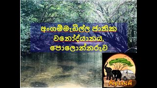 අංගම්මැඩිල්ල ජාතික වනෝද්‍යානය, පොලොන්නරුව  Angammedilla National Forest, Plonnaruwa, Sri Lanka