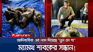 স্বর্ণখনিতে পাওয়া গেলো ৩০ হাজার বছর পুরোনো ম্যামথ শাবকের ফসিল! | Mammoth