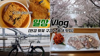 [일상 브이로그] 벚꽃 다 지기 전에 급히 다녀온 망원한강공원🌸ㅣ인생 첫 한강라면🍜 먹고 한강 자전거 라이딩🚲｜망원한강공원｜한강라면｜벚꽃축제｜홍대 맛집｜베가보쌈