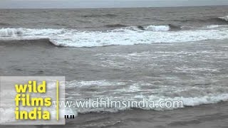 Sea shore at Kozhikode beach - Kerala