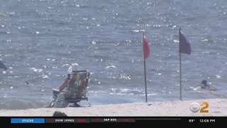 Some Long Island Beaches Still Closed After Multiple Shark Sightings On South Shore