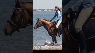 😳గుర్రాల కల్లకి గంతలు ఎందుకో తెలుసా#Amazing facts #Horse ride#Shorts