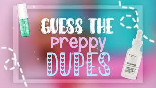 Guess the Preppy Dupes ✨💖⚡🌸🐬