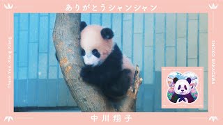 中川翔子 『ありがとうシャンシャン』music video short ver.