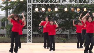 キャッツパウ（犬山踊芸祭2013）