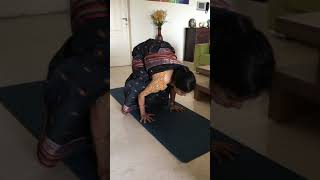 Upper body Exercise | Body Balancing Exercise | Crow pose | Yoga in Saree