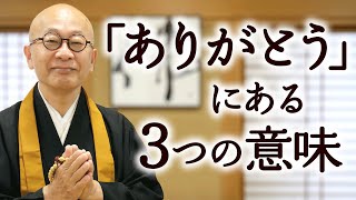 法話｜盲亀浮木のたとえから考える「ありがとう」の本質