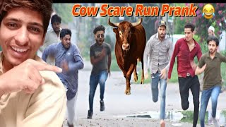 Fake Cow Run Prank / funny reaction video/funny