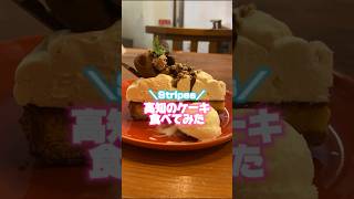 【ツンデレ】高知のオシャレなカフェのケーキよ！別にっ！あんたとのデートが楽しいわけじゃないわよ！！【高知グルメ】 #shorts