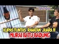 KUPAS TUNTAS RAWATAN MURAI BATU BADUNG LANGSUNG DARI SANG PERAWATNYA !! || BONGKAR RAHASIA JUARA ❗😱