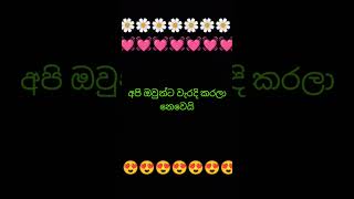 sinhala wadhan / adhara wadhan / ආදර වදන් ❤️😍💋 #viral #srilanka #trending #2024 #lovesick #lovestory