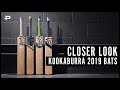 Kookaburra 2019 Bat Range - Closer Look