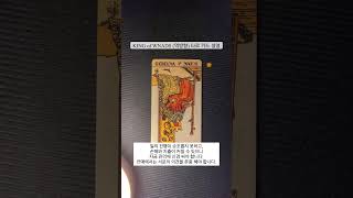 타로 카드 설명 (KING of WANDS (역방향)) #shorts