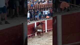 This Bull Will Take His Revenge!