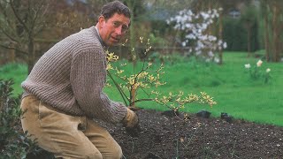 Highgrove House: Alan Meets Prince Charles - The Most Hands-on Royal Gardener in History