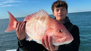 Red Snaper Legit Fish Sportfishing