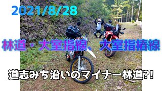 #CRF250RALLY #MD47 #林道ツーリング　　 2021/8/28　道志みち沿いのマイナー林道＜林道大室指、大室指椿線＞