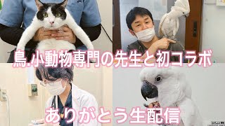 ☆鳥.小動物専門の先生と一緒に！いつも応援ありがとう生配信　～獣医師ふたりで動物の質問に出来る限り応えます～☆