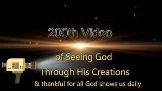 200th Video of Seeing God Through His Creations