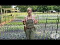 how to install hortonova netting at your garden