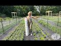 How to Install Hortonova Netting at Your Garden