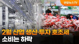 2월 산업 생산·투자 호조세…소비는 하락 / 연합뉴스TV (YonhapnewsTV)