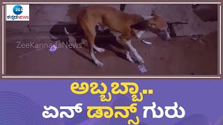 Dancing Dog | ಮದುವೆಯ ಬ್ಯಾಂಜೋ ಹಾಡಿಗೆ ಸಕತ್ ಸ್ಟೆಪ್ ಹಾಕಿದ ಬೀದಿ ನಾಯಿ